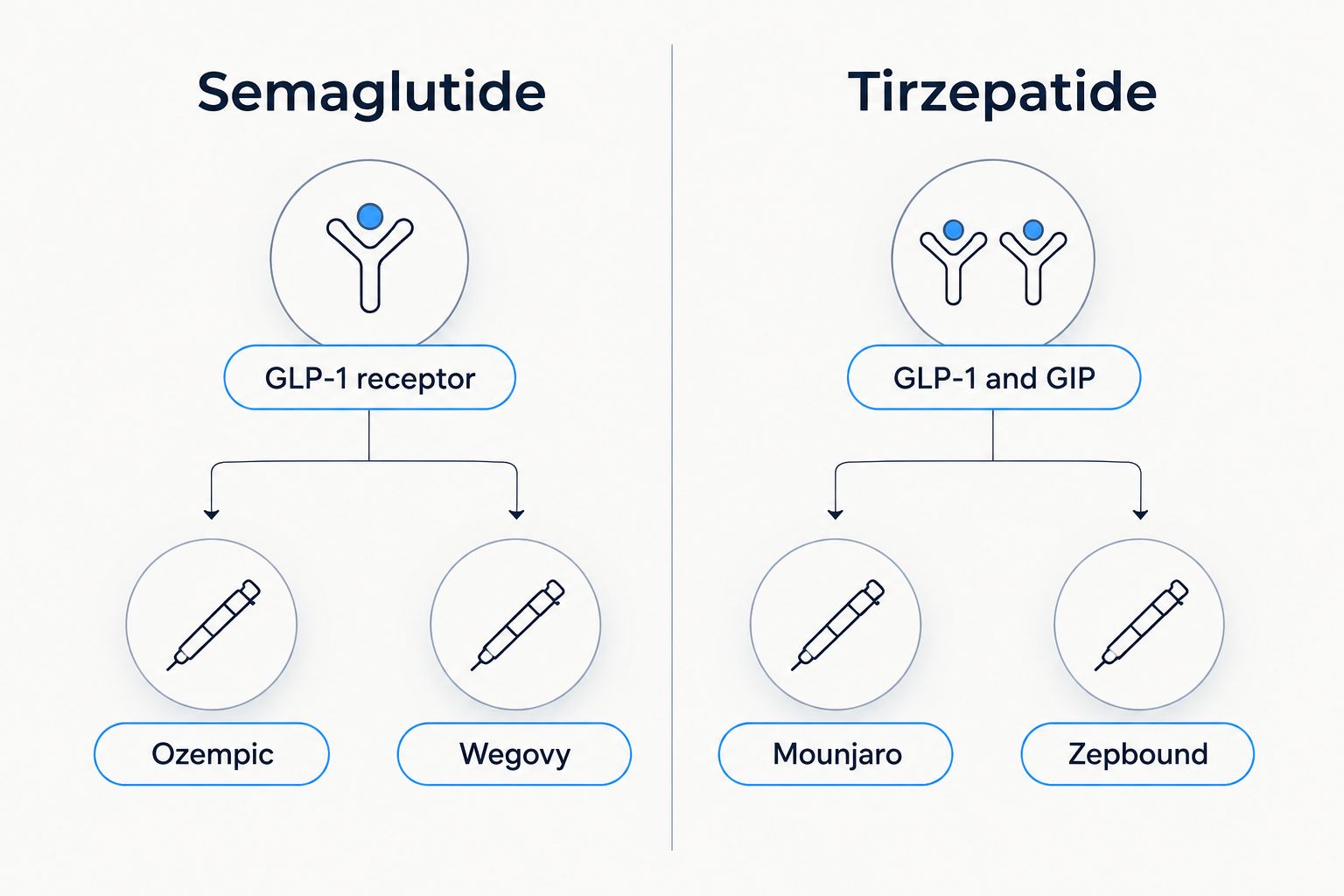 Two-column diagram comparing semaglutide and tirzepatide receptor targets and brand names
